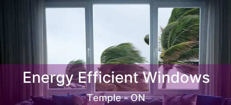  Energy Efficient Windows Temple - ON