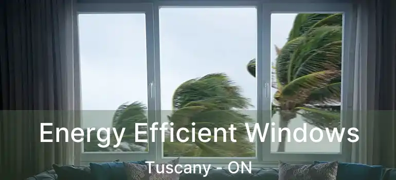  Energy Efficient Windows Tuscany - ON