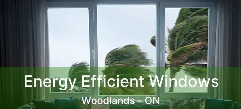  Energy Efficient Windows Woodlands - ON