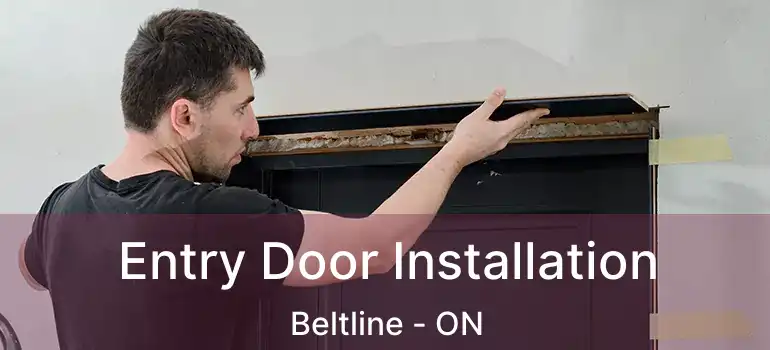  Entry Door Installation Beltline - ON