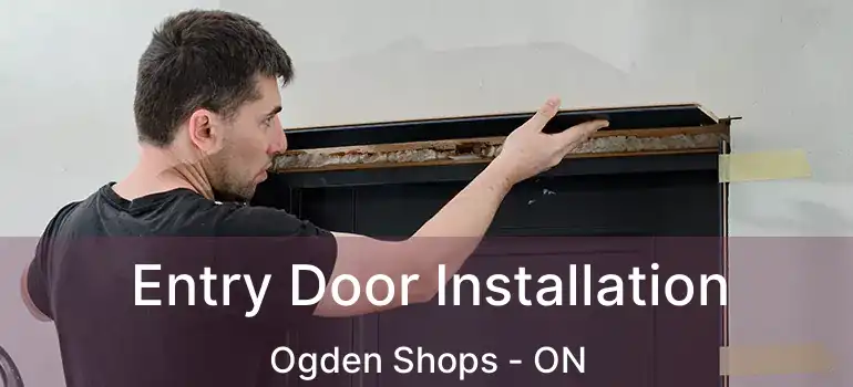  Entry Door Installation Ogden Shops - ON
