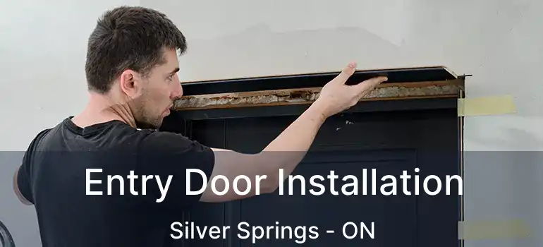  Entry Door Installation Silver Springs - ON