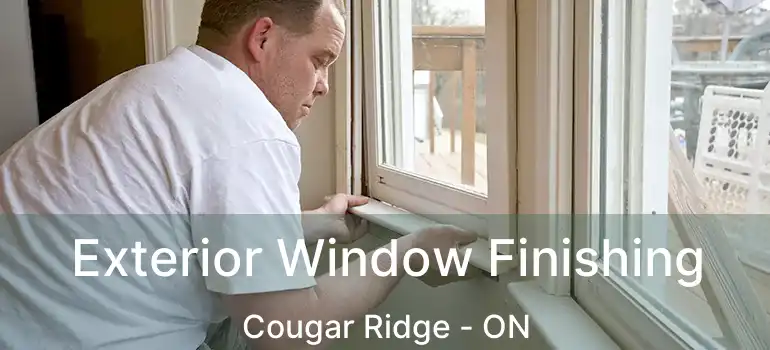  Exterior Window Finishing Cougar Ridge - ON