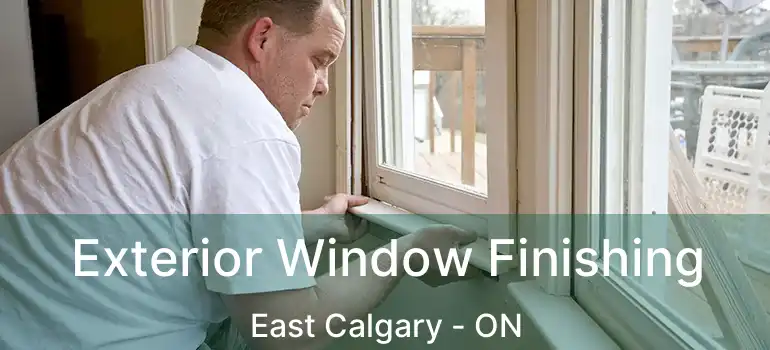  Exterior Window Finishing East Calgary - ON