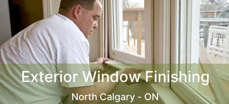  Exterior Window Finishing North Calgary - ON