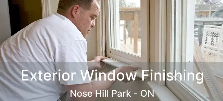  Exterior Window Finishing Nose Hill Park - ON