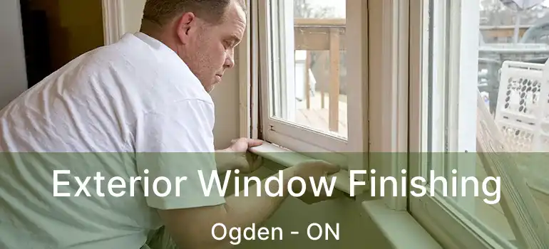  Exterior Window Finishing Ogden - ON