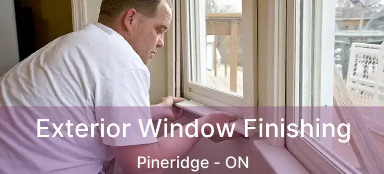  Exterior Window Finishing Pineridge - ON