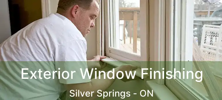  Exterior Window Finishing Silver Springs - ON