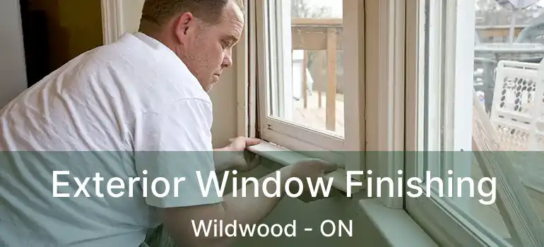  Exterior Window Finishing Wildwood - ON