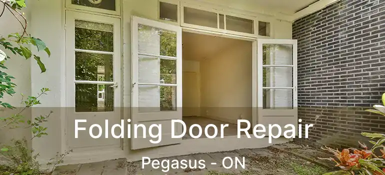  Folding Door Repair Pegasus - ON