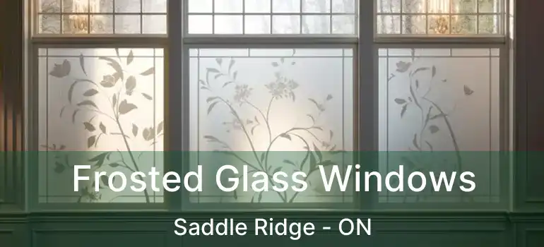  Frosted Glass Windows Saddle Ridge - ON