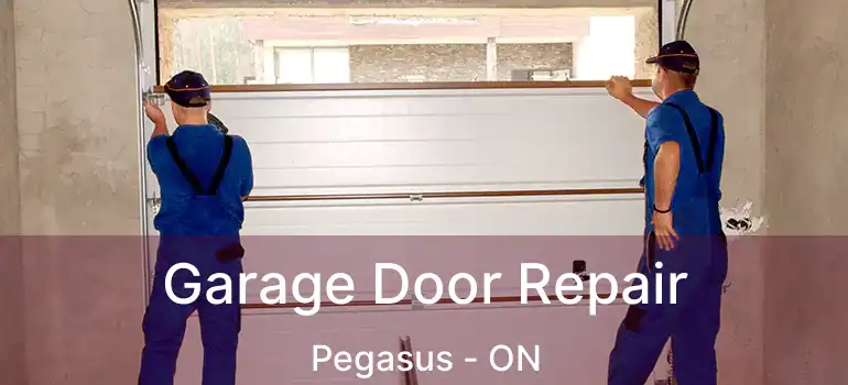  Garage Door Repair Pegasus - ON