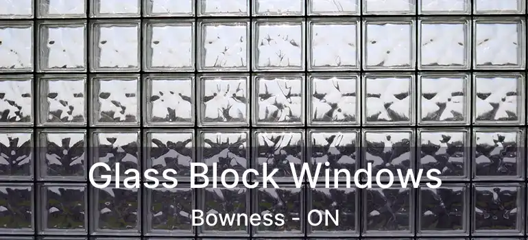  Glass Block Windows Bowness - ON