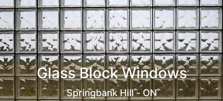  Glass Block Windows Springbank Hill - ON