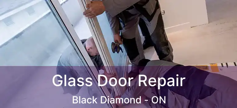  Glass Door Repair Black Diamond - ON