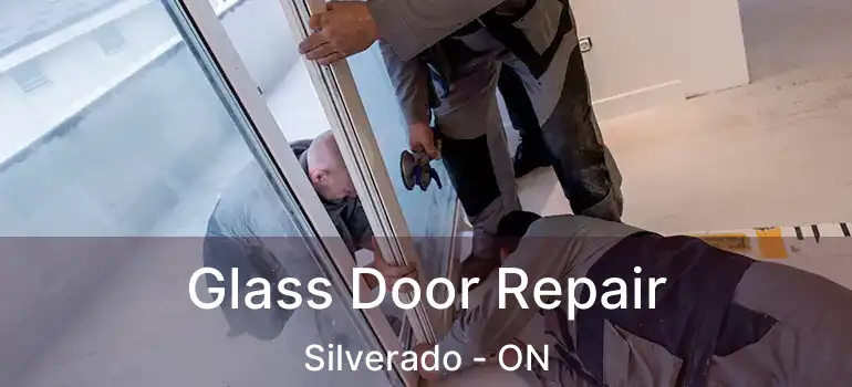  Glass Door Repair Silverado - ON