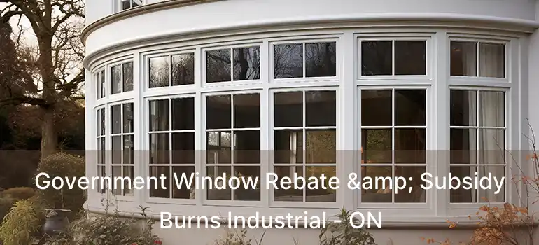  Government Window Rebate & Subsidy Burns Industrial - ON