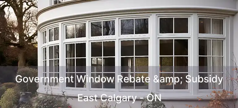  Government Window Rebate & Subsidy East Calgary - ON