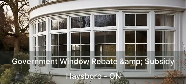  Government Window Rebate & Subsidy Haysboro - ON