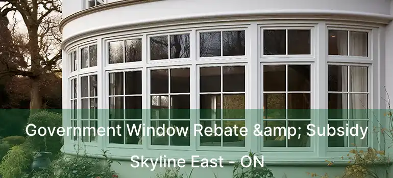  Government Window Rebate & Subsidy Skyline East - ON