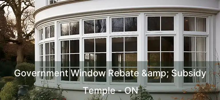  Government Window Rebate & Subsidy Temple - ON
