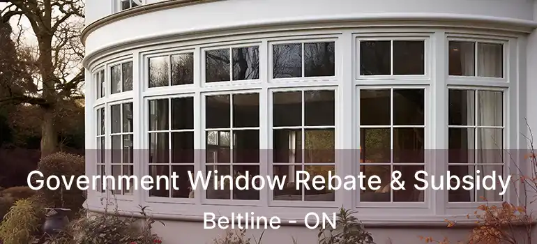  Government Window Rebate & Subsidy Beltline - ON