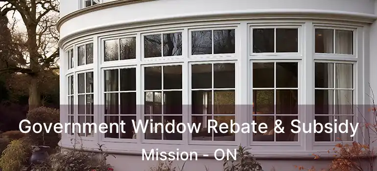  Government Window Rebate & Subsidy Mission - ON
