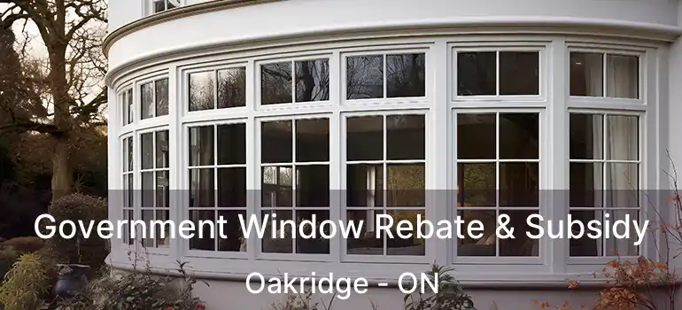  Government Window Rebate & Subsidy Oakridge - ON