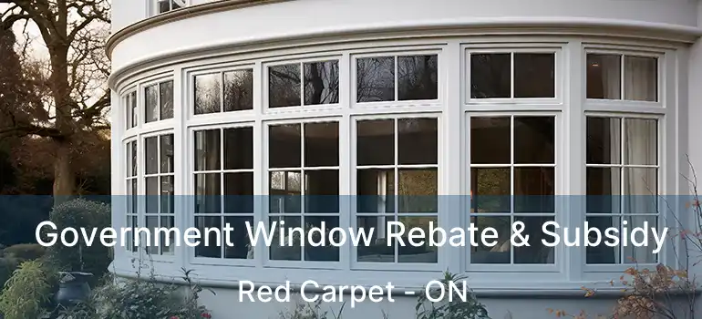  Government Window Rebate & Subsidy Red Carpet - ON