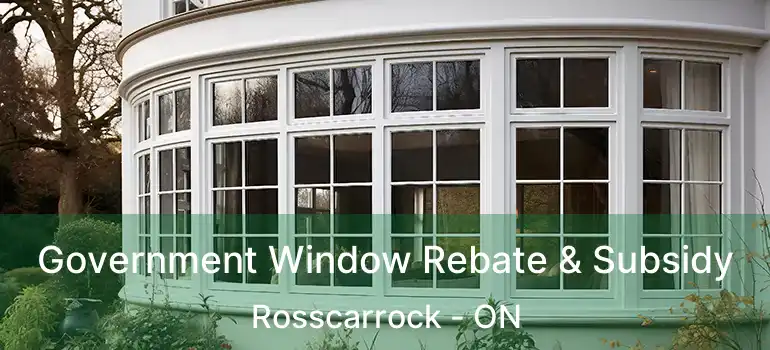  Government Window Rebate & Subsidy Rosscarrock - ON