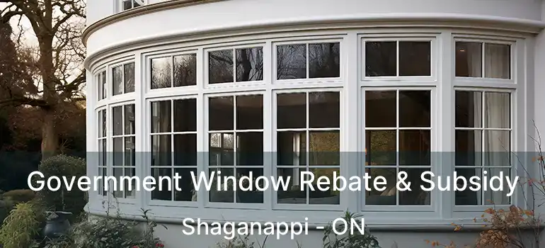  Government Window Rebate & Subsidy Shaganappi - ON