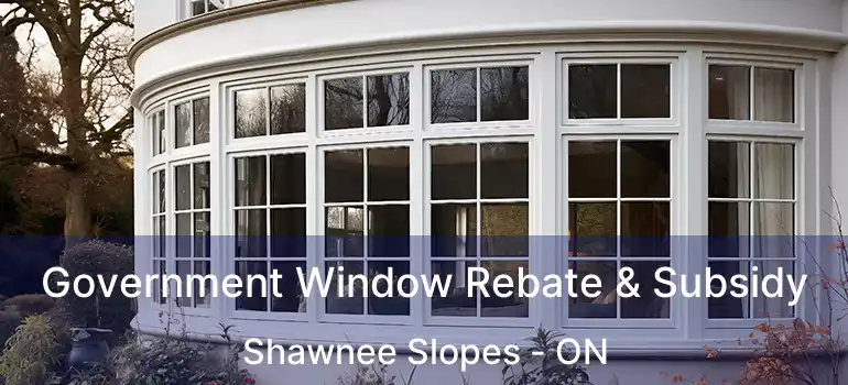  Government Window Rebate & Subsidy Shawnee Slopes - ON