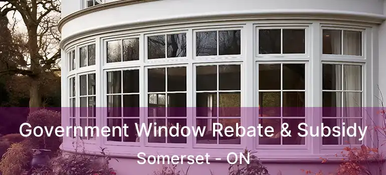  Government Window Rebate & Subsidy Somerset - ON