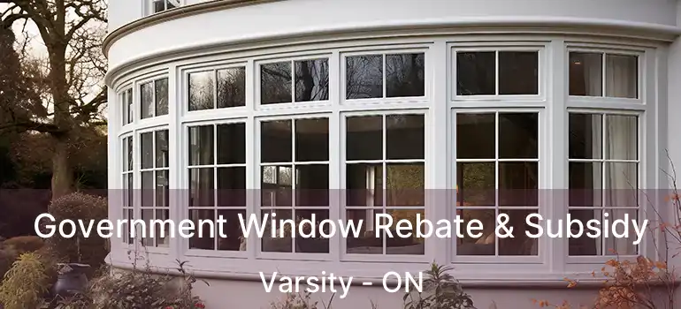  Government Window Rebate & Subsidy Varsity - ON
