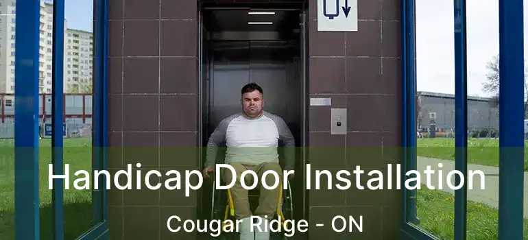  Handicap Door Installation Cougar Ridge - ON
