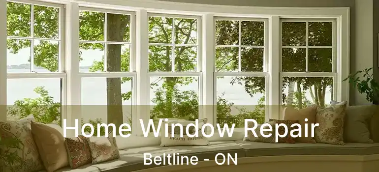  Home Window Repair Beltline - ON