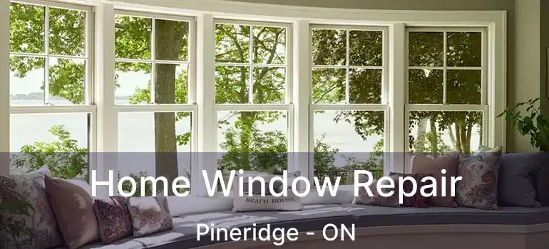  Home Window Repair Pineridge - ON