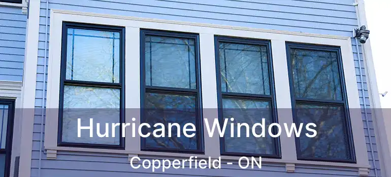  Hurricane Windows Copperfield - ON