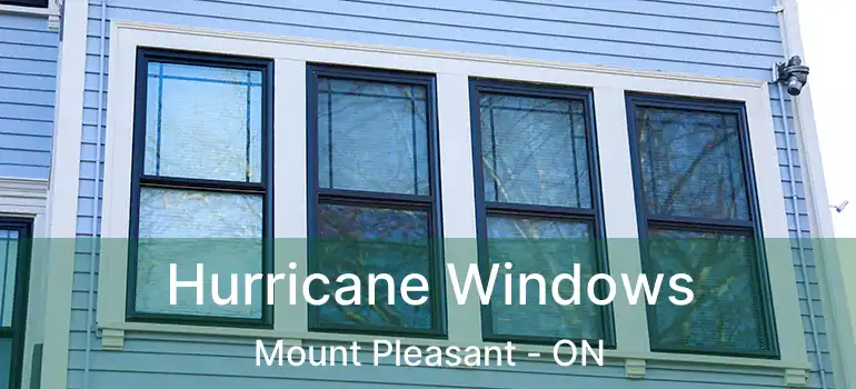  Hurricane Windows Mount Pleasant - ON