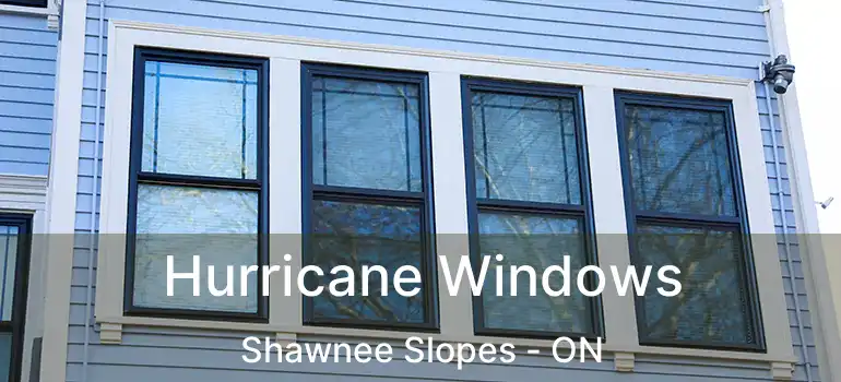  Hurricane Windows Shawnee Slopes - ON