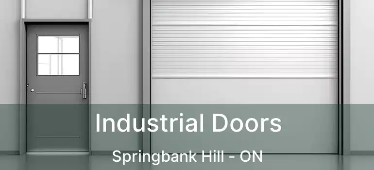 Industrial Doors Springbank Hill - ON