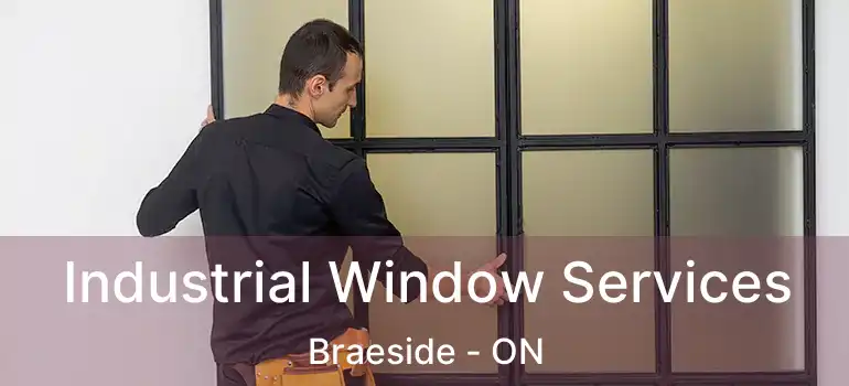  Industrial Window Services Braeside - ON