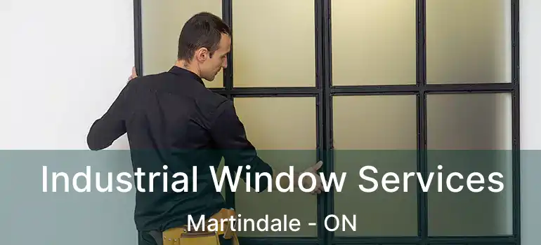  Industrial Window Services Martindale - ON