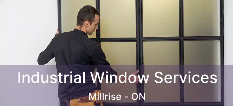  Industrial Window Services Millrise - ON