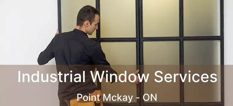  Industrial Window Services Point Mckay - ON