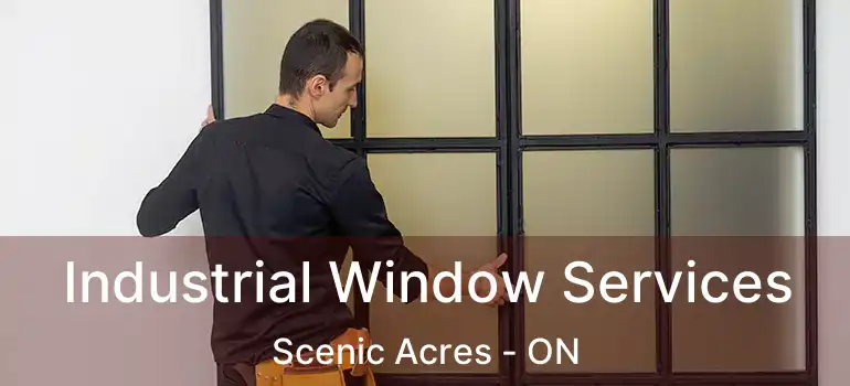  Industrial Window Services Scenic Acres - ON