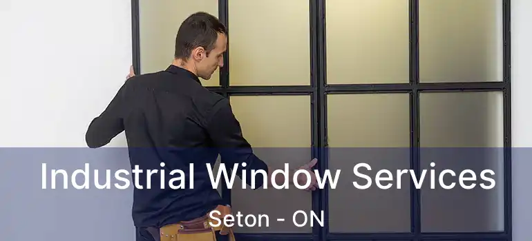  Industrial Window Services Seton - ON