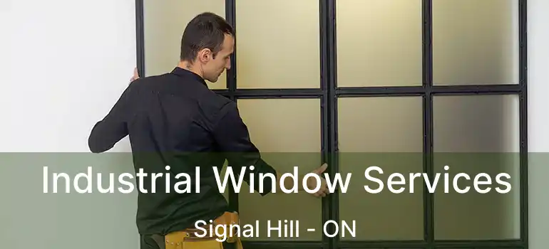  Industrial Window Services Signal Hill - ON