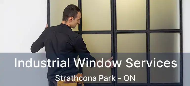  Industrial Window Services Strathcona Park - ON